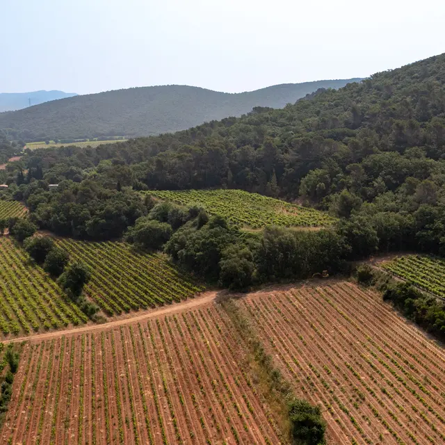 Notre terroir de La Roquette