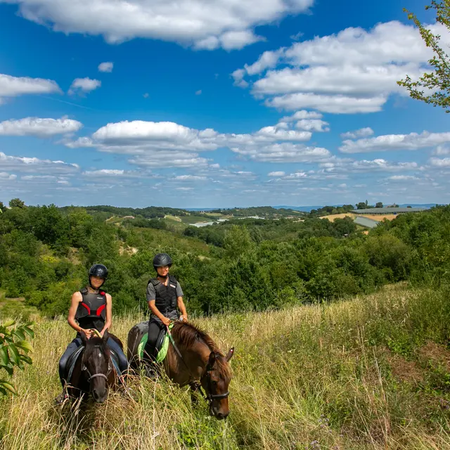 Les Sabots de l'Honor