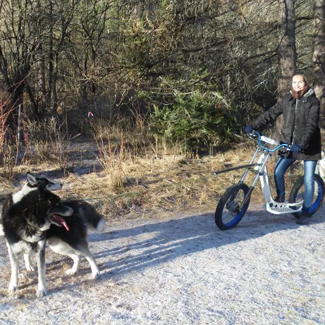 Au Hurlement du Crépuscule - cani randonnée
