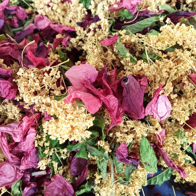 Tisane - Eveil des Beaux Jours