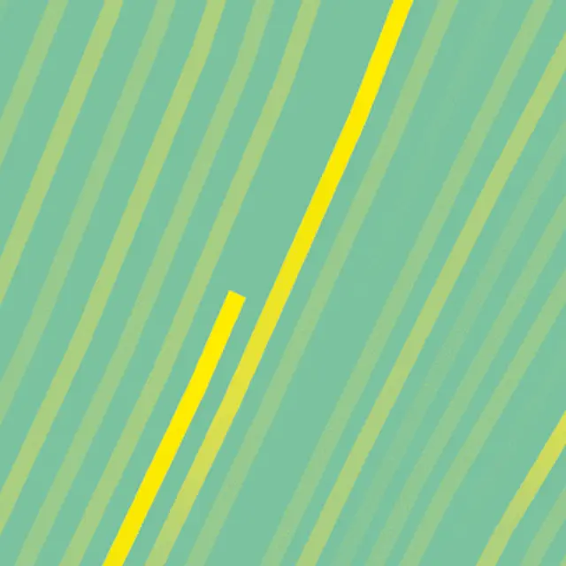 Festival Trajectoires_Carros
