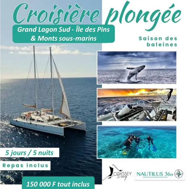 Croisière de Plongée Grand Lagon Sud - Ile des Pins et Monts sous marin- Baleine et Explo_Yaté