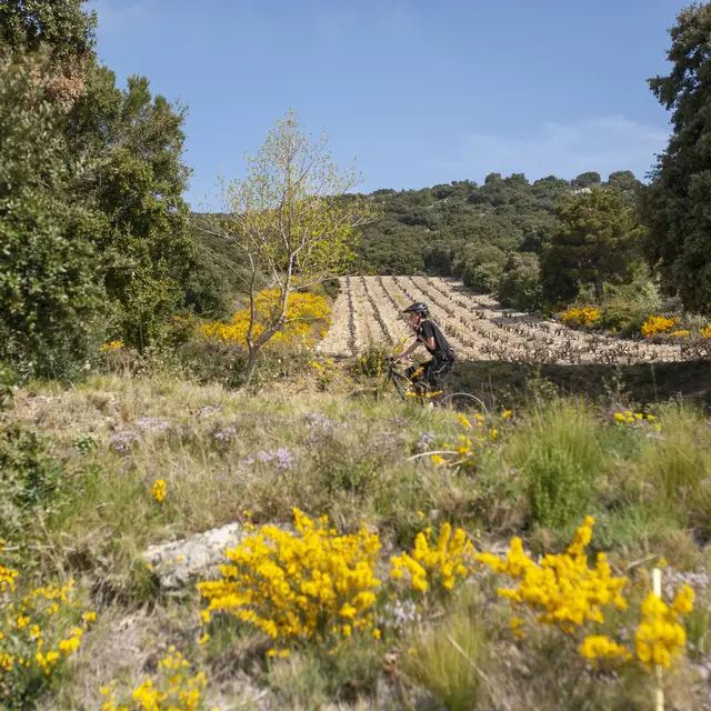 Le pays isolé en gravel_Guillestre
