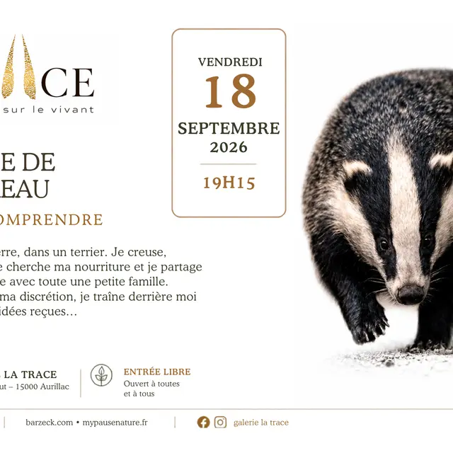 Ma vie de blaireau