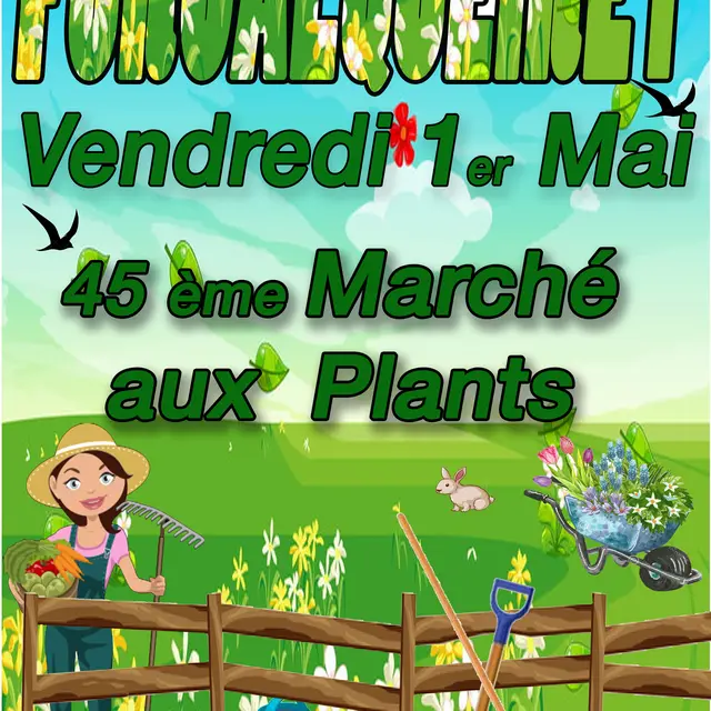 Marché aux plants_Forcalqueiret