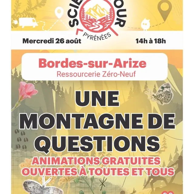 affiche petit débrouillards