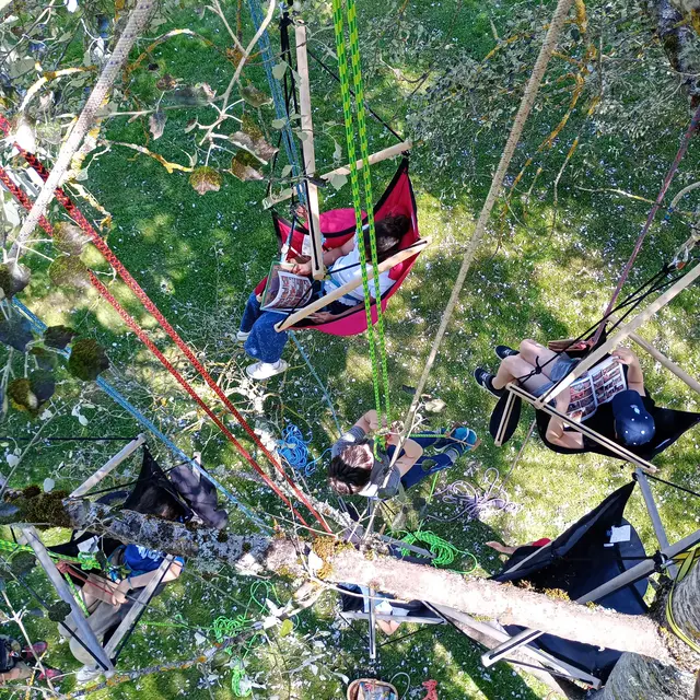 Posez vos valises auprès de nos arbres_Saint-Gervais-sous-Meymont