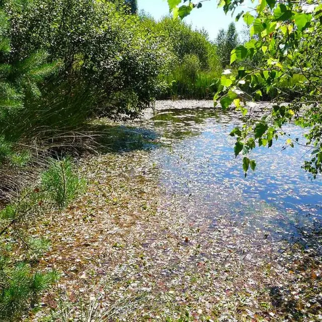 Trésor du marais du Cassan_Saint-Paul-des-Landes