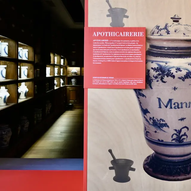 Dimanches du Carré Pat'_Trévoux