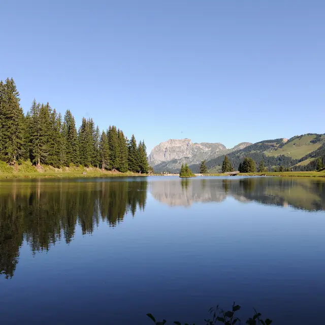 Lac de la Mouille