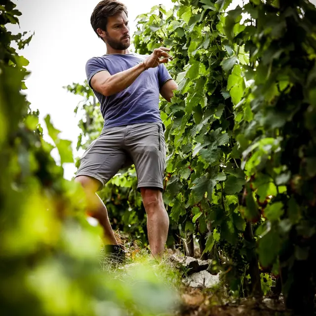 Domaine des Pierres Sèches_Ozon