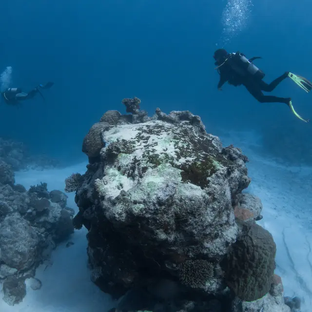 Bourail aquadiving