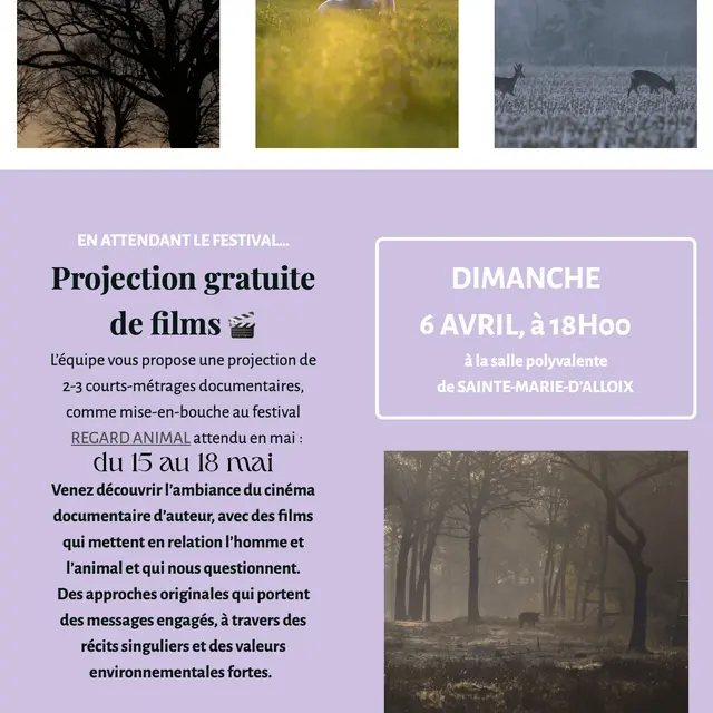 Visuel projection gratuite regard animal