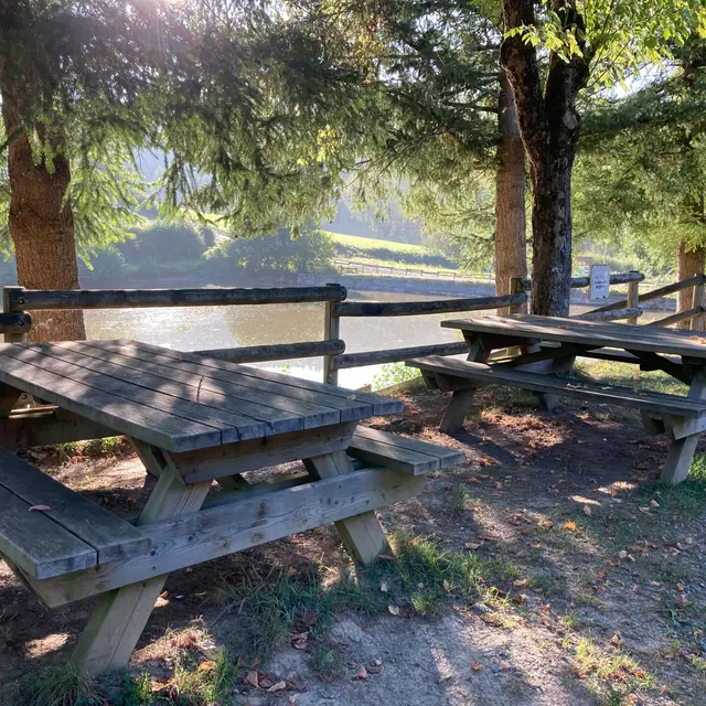 Aire de pique-nique de l'étang de Fontbonne_Violay