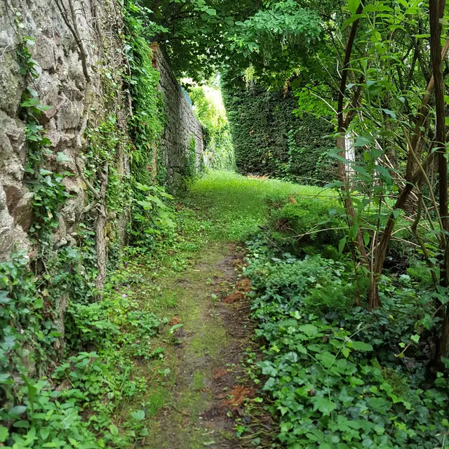Sentier étroit au départ de la Randonnée Entre Limagne et Combrailles