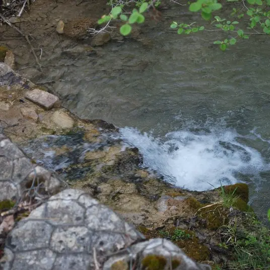 La source de Saint-Lagier
