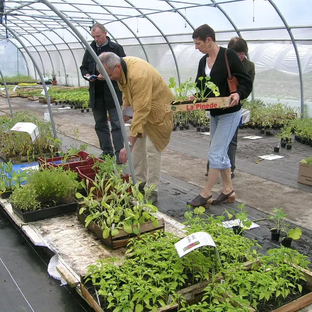 Oasis, jardin de Cocagne