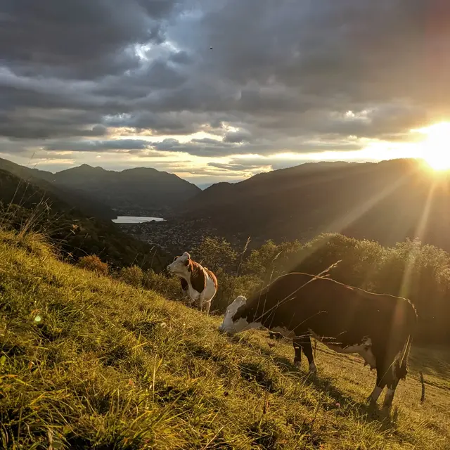 Ferme de la Grangette_La Chapelle-du-Bard