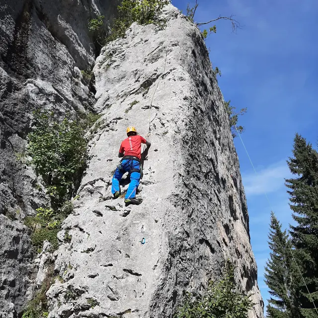 Escalade
