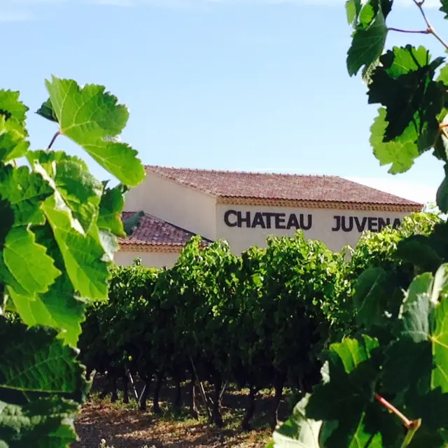 Château Juvenal