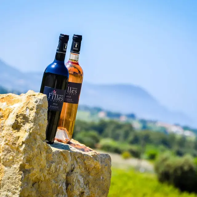 Domaine des 3 Filles