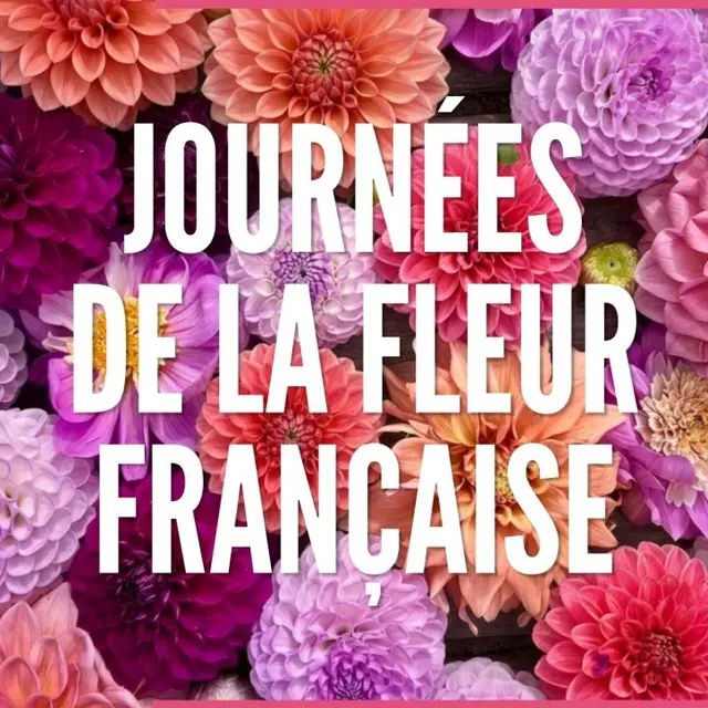 JEP 2026 -   Les Journées de la Fleur Française, un patrimoine floral à découvrir_Cusset