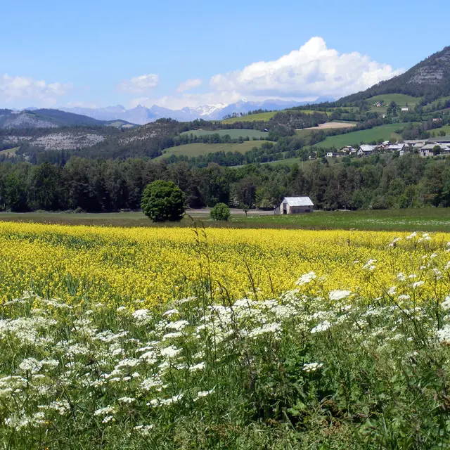 Gravel n°G3 - Tour Seyne - Montclar - Selonnet