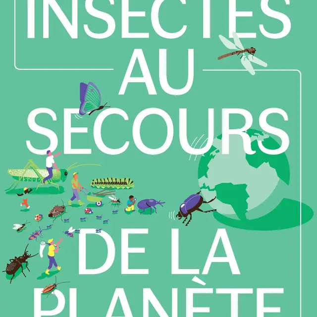 Insectes au secours de la planète