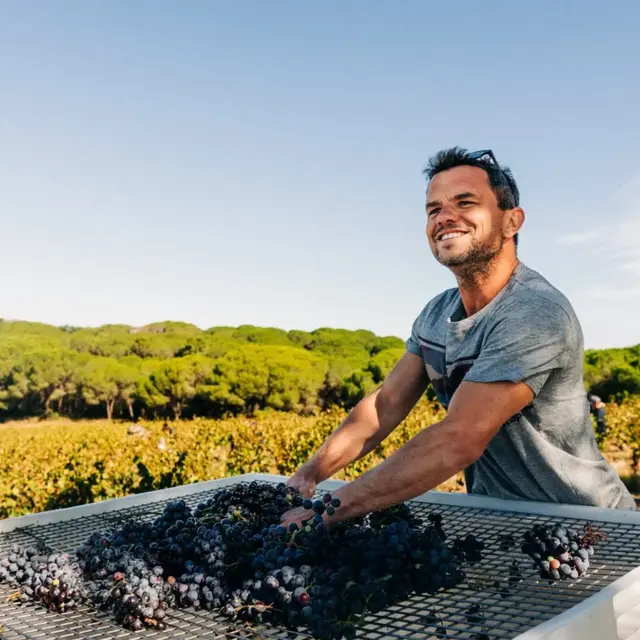 Dégustation des vins d'Edouard Santax_Saint-Ouen