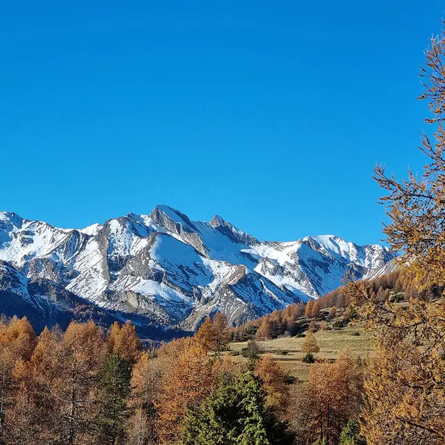 Randonnée : Montgros_Allos
