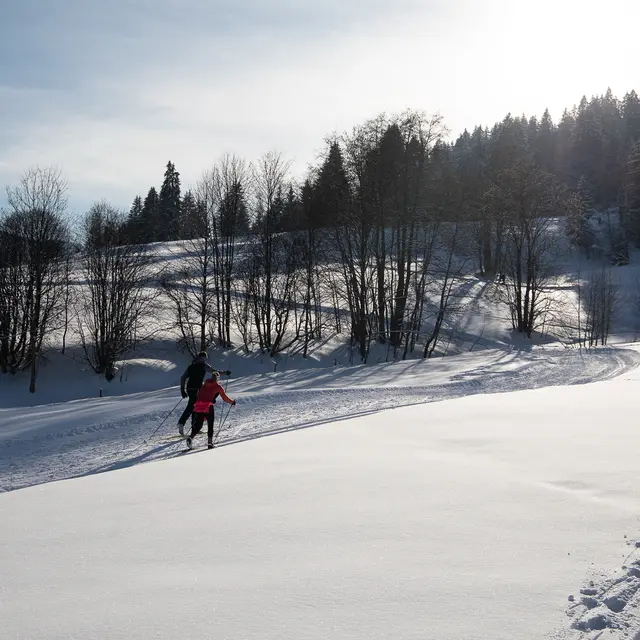 ski de fond à Combloux