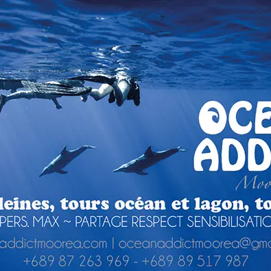 Ocean Addict Moorea - Tahiti Tourisme