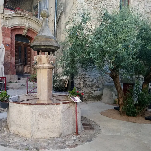 Fontaine Notre Dame-4