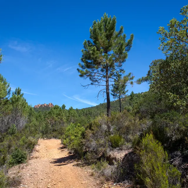 Espace nature