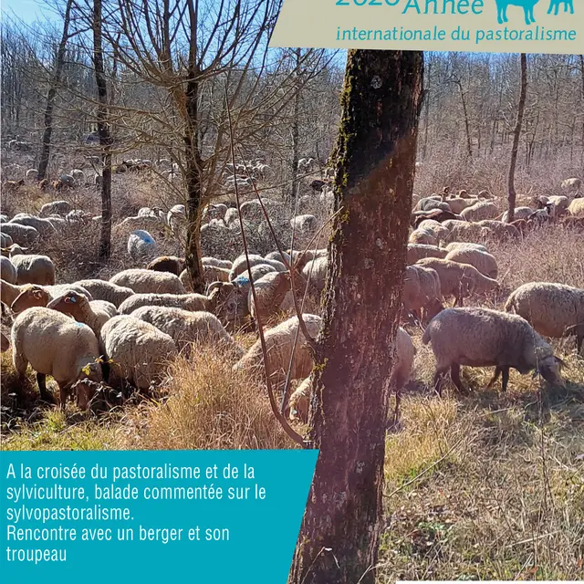 Rendez-vous du Parc au Broc_Le Broc