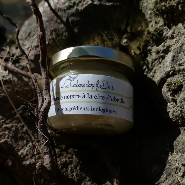 La cabane dans les bois