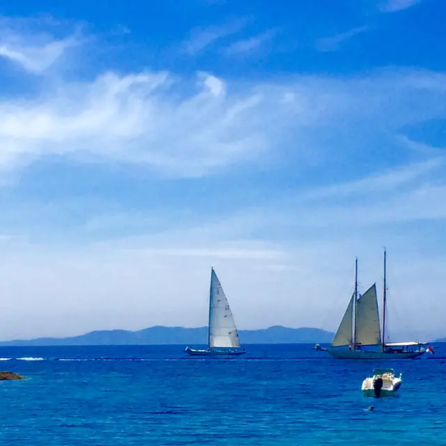 Voile