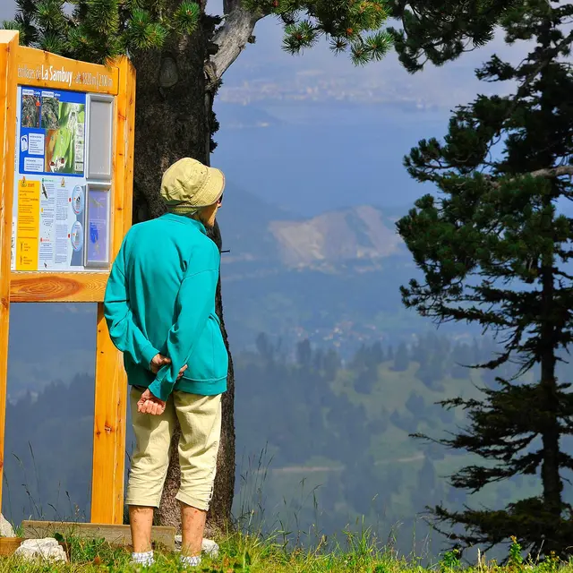 Seythenex La Sambuy alpage télésiège
