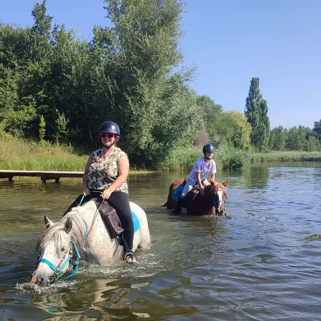 Balade journée à cheval au lac de Mison