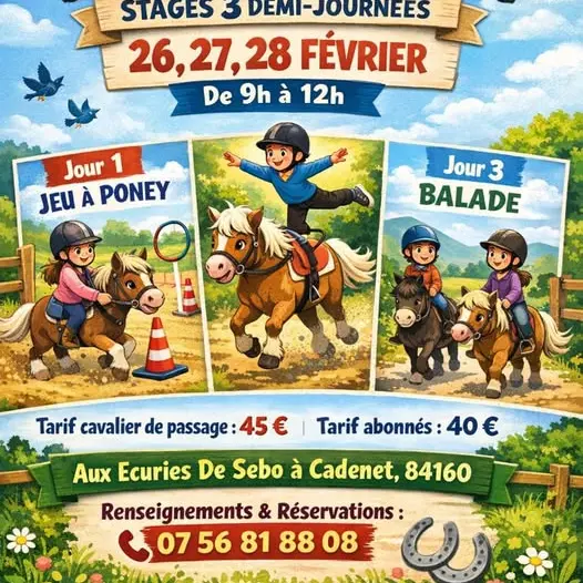 Stages des vacances de Février 2026  aux écuries de Sebo à Cadenet_Cadenet