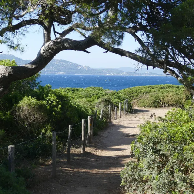 Le sentier du littoral du port de la Madrague à la plage de la Badine_Hyères
