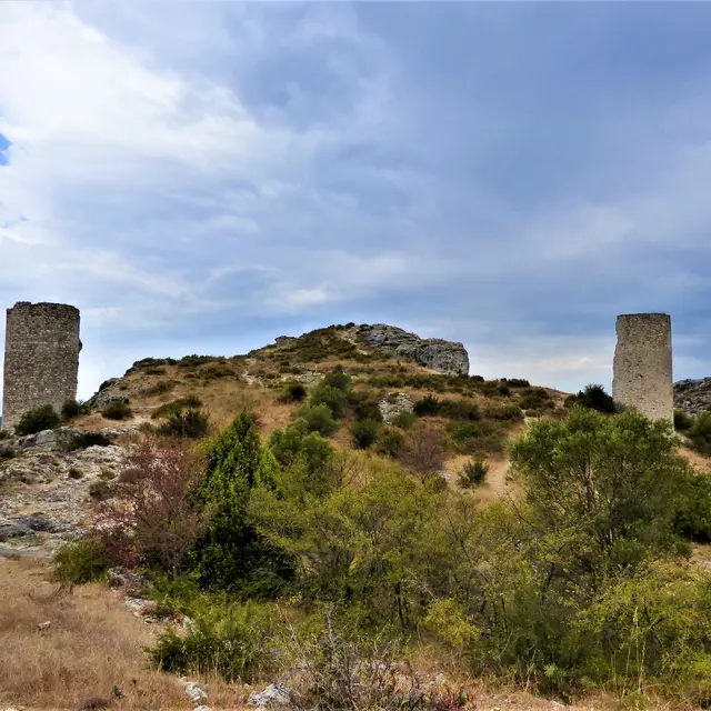 Sortie nature : Les tours de Castillon 'Entre marais et collines_Saint-Rémy-de-Provence