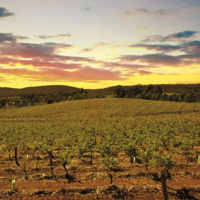 Atelier Découverte  Tour du Monde  - M.CHAPOUTIER_Tain-l'Hermitage