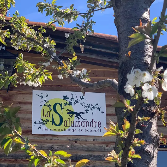 La Salamandre