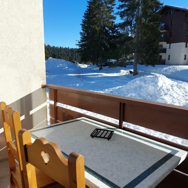 Les Mouflons - 24m² - n°444_Taninges