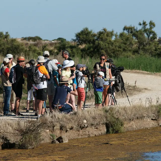 Sortie Oiseaux & Nature de la RN