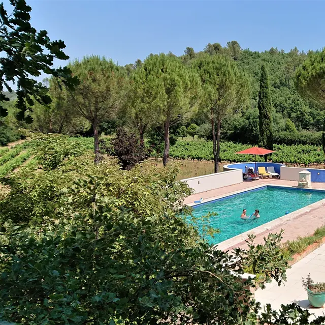 Une Campagne en Provence - Bras