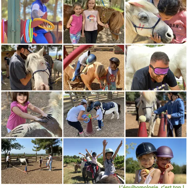 Equihomologie Ferme play