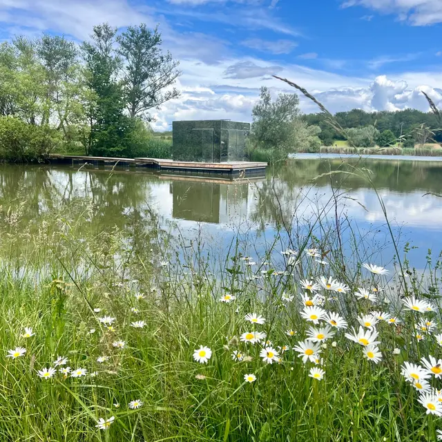 Camping du Domaine des Feuilles_Bâgé-Dommartin