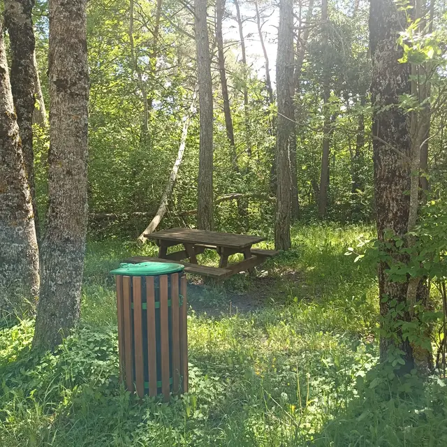 Aire de pique-nique à proximité de Selonnet